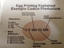 Know your eggs!