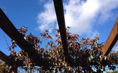 A small respite in weather conditions in the UK today