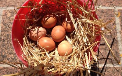 Is it still Easter?
