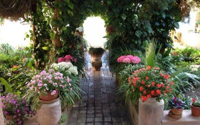 Another dream garden..this one's not in Chelsea..as you might have gathered!