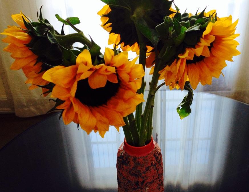 Sunflowers for Saturday!