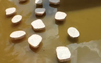 Two for the price of one