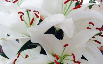 Flowers for the never ending heartbreak in the world