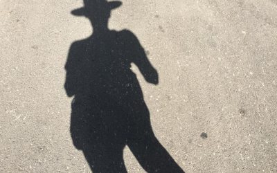 Back in Shadowland…