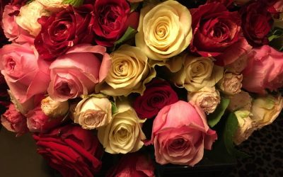 Taking a moment to smell the roses…