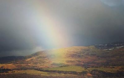 I’m sending you a spectacular rainbow for the New Year..