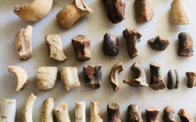 Broken handles of unknown vessels…