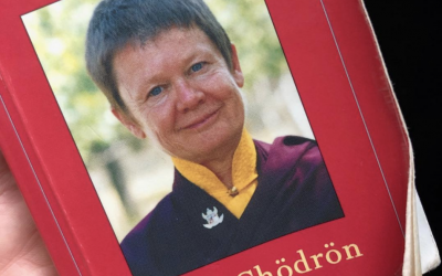 My little pocket book by Pema Chodrun..