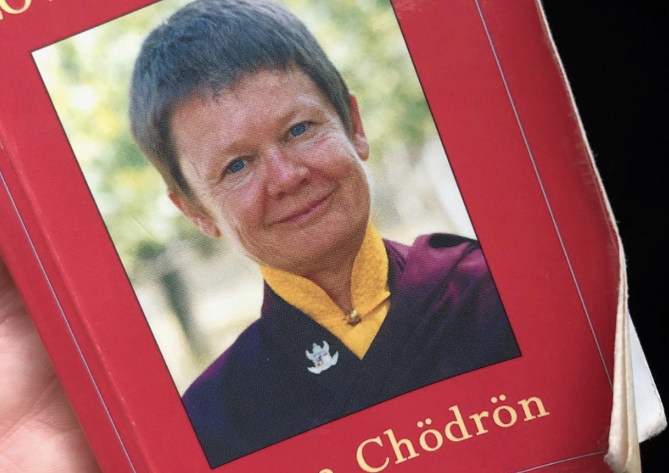 My little pocket book by Pema Chodrun..