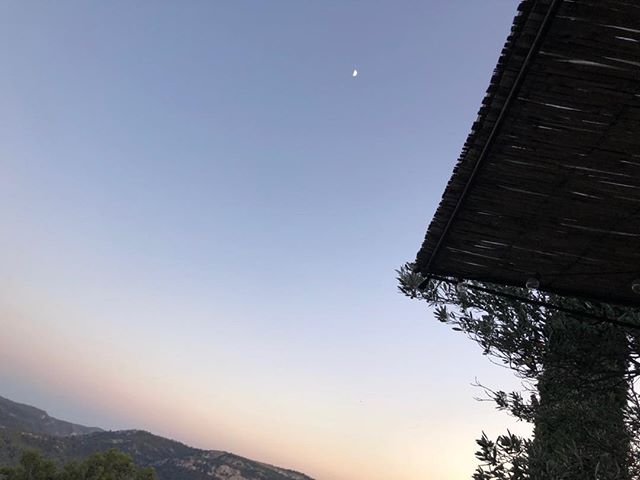 That little sparkle dot up there is the MOON! If that doesn’t put everything in perspective, then I don’t know what does!!!