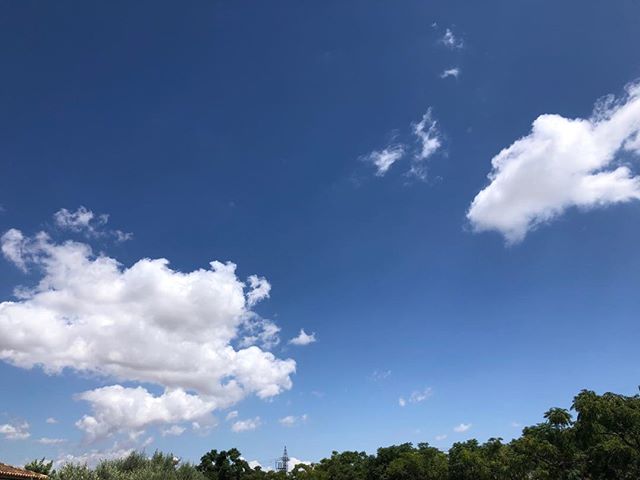 Cloud watching… White clouds against the blue.. I could watch them all day.. if I didn’t have other things to do..