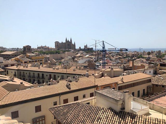 Spectacular view of the cathedral over the tiled rooftops of Palma de Mallorca…