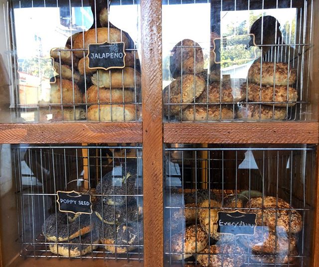 Tangential distraction from this crazy troubled planet! Jalapeño, Poppyseed, Everything and Plain… These bagels are so eclectic they have to be kept in cages!!!